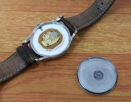 1562113926090.jpg