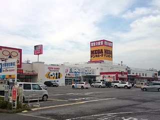 DSC_0505.JPG